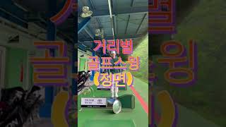 [골프스윙] 거리별 / 모든 클럽 / 정면 골프스윙🏌🏻