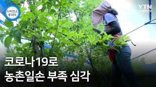 코로나19로 농촌일손 부족 심각 / YTN 사이언스