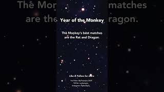 Monkey Zodiac Facts 🐒🎭 (The Funniest Sign!)