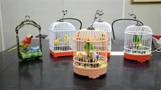 (03002060175) Beautiful Birds Toy Voice Control Toys Kids Parrot Cage Animal 4 Birthday Gift