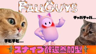 [参加型]フォールガイズだぷぅ