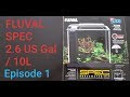 FLUVAL SPEC 10litre AQUARIUM setup and review - EPISODE 1