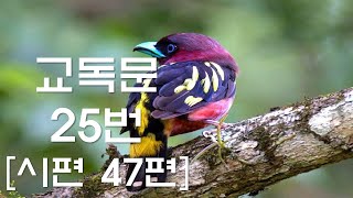 교독문낭독 25번 시편 47편  [Heritage of faith]