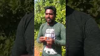 Challenge unlimited Cashew nuts#vira#shorts #tamilnadu #tamil #viral video #nutrition