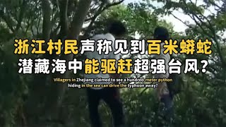 浙江村民声称见到百米蟒蛇，潜藏深海行踪诡异，能驱使台风离开？