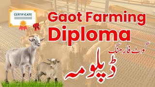 Diploma in Goat Farming at Alpha Livestock