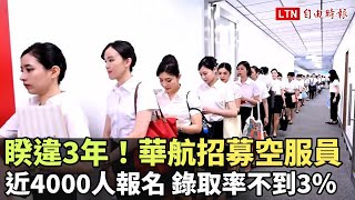 睽違3年！華航招募空服員近4000人報名 錄取率不到3％