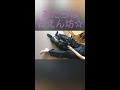 【甲斐犬☆奈々】階段は母タクシー