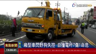 廂型車閃野狗失控自撞電杆7傷1命危