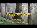 Cliff Richard   Evergreen Tree(With Lyrics)阿里山新八景之一 : 28號巨木