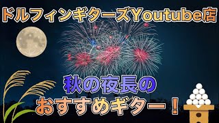 ドルフィンギターズYouTube店「秋の夜長のおすすめギター！」