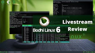 Bodhi Linux 6.0 livestream Distro Review