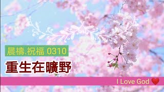 《晨禱.祝福0310》重生在曠野(重生在旷野,Reborn in the wilderness,荒野で生まれ変わる)