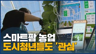 스마트팜 농업, 도시청년들도 '관심'