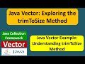 Java Vector: Exploring the trimToSize Method | Java Collection Framework