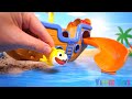 Pirate Treasure Hunt with Cocomelon Friends & Baby Shark Toys