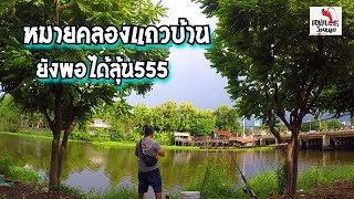 #ตกปลาหน้าดิน#หมายคลองแถวบ้านยังพอได้ลุ้น ตัวใหญ่ๆทั้งนั้นเลย555#ตกปลาสบายๆวันหยุดEp125