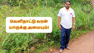 வெளிநாட்டு வரன் அமையுமா? | DINDIGUL P.CHINNARAJ ASTROLOGER INDIA