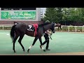 札幌競馬　パドック（11r しらかばs 2022.7.23