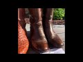 lucchese ropers 3 year update