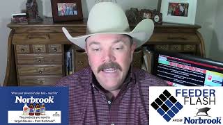 Feeder Flash 3/11:  Maybe Next Week