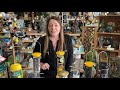 Brighten Your Yard with American Goldfinches: How-To with Sherrie