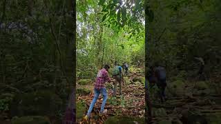 മരുത്വാമല ട്രക്കിംഗ് - പൊന്മുടി. #a2v2vlogs #trekking #travel