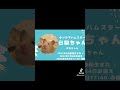 12月26日ダイエット日記