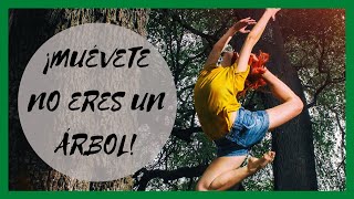 🤸‍♀️ Muévete no eres un árbol 🌳