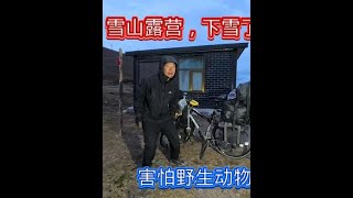 骑行青海翻越大东树垭口，缺氧没力气骑不动晚上在雪山露营下雪了