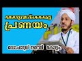 അനുവദിക്കപ്പെട്ട പ്രണയം ഡോ. ഫാറൂഖ് നഈമി കൊല്ലം new islamic speech m4madeena .