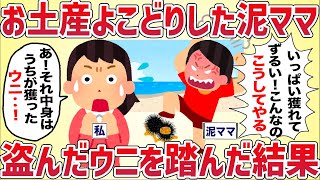 うちのお土産を横取りした泥ママが盗んだウニを踏みつけた結果【女イッチの修羅場劇場】2chスレゆっくり解説