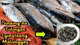 How to cook easy sinaing na Tulingan/food vlog/simplyJho food n etc.