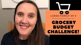 Grocery Budget Challenge 2020 Intro || Pantry and Freezer Challenge || Large Family of 8