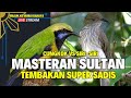 MASTERAN  PARA SULTAN - MATERI GANTANGAN TEMBAKAN SIRI - SIRI  - SAMBUNG JERITAN CUNGKOK KUNTILANAK