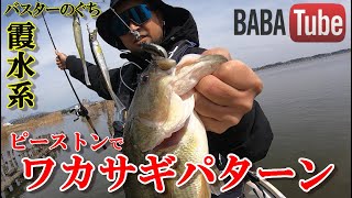 BABATube【霞水系・バスターのぐち】ピーストンでリベンジ達成！