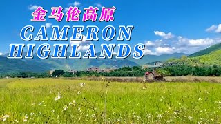 #旅游景点世界 I #马来西亚  I #金马伦高原 I #Tourist Attractions World I #Malaysia I #Cameron Highlands