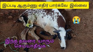 சிரிய கவனக்குறைவால் ஏற்பட்ட பலத்த காயம்