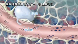 目で見る薬理学入門 第3版　Vol.3 血液系疾患の治療薬