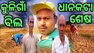 🔰ଘରୁ ବାହାରି ଲୋ ବିଲକୁ ଧାନ କାଟିବା ପାଇଁ 🔥 Odia Vlog 🔥 Village lifestyle vlog|#kuliganbasantavlog