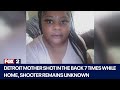 Mother survives being shot 7 times in Detroit