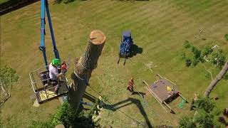 Poplar take-down with Platform and new Multione 6.3+ Loader June 2018