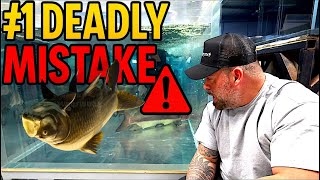 “STOP KILLING Your FISH! The #1 Aquarium MISTAKE (FIX THIS)”