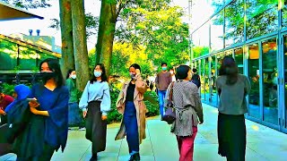 【4K】Tokyo Walk - Daikanyama 代官山周辺を歩く 2020.10