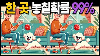 [다른그림찾기/그림퀴즈] 한 곳 놓칠확률 99% 틀린 그림 찾으며 즐기는 건강한 두뇌 운동! 치매예방 집중력 인지력 훈련