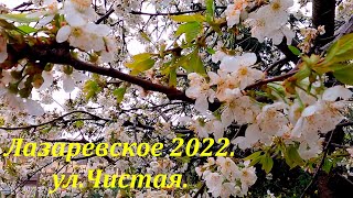 ул. Чистая, маленькая, уютная и красивая!  Апрель 2022. 🌴ЛАЗАРЕВСКОЕ СЕГОДНЯ🌴СОЧИ.