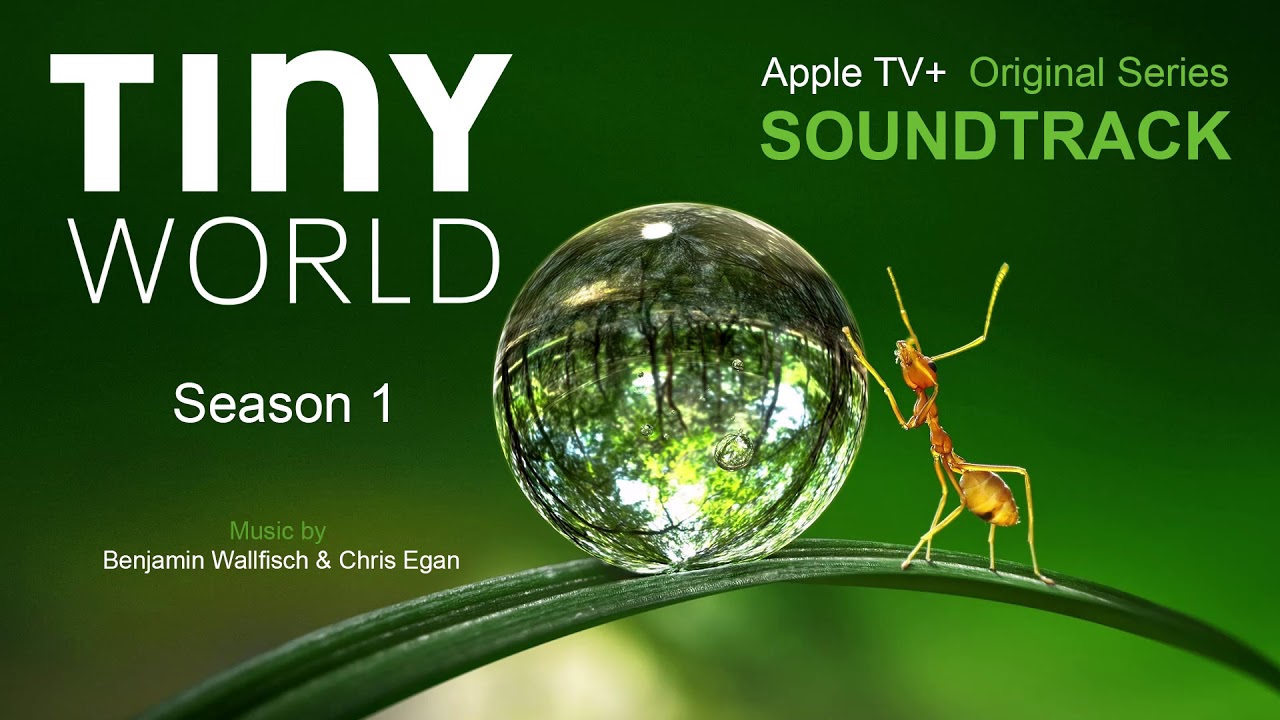 Tiny World Season 1 Soundtrack Youtube Music