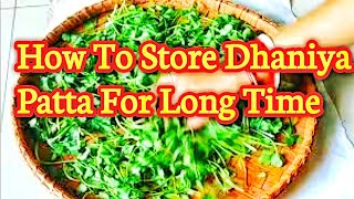 How To Store Dhaniya Patta Fresh For Long Time In Fridge🍀Kitchen Tips And Tricks l Coriander leave