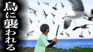 【衝撃映像】10000匹の鳥に襲われました【脱出不可能な無人島でサバイバル２nd #3】