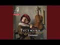 Concerto for Recorder and Viola da Gamba in A Minor, TWV 52:a1: IV. Allegro